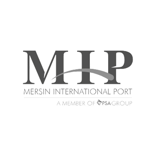 MIP Port